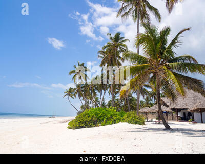 Strand in Paje, Zanzibar, Tansania. Stockfoto