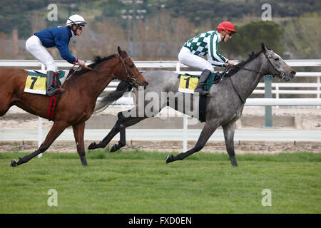 Rennen Pferde und jockeys in der Spur laufen. Querformat Stockfoto