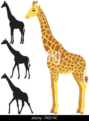 Illustration der Giraffe auf weißem Hintergrund. 3 Silhouette-Versionen enthalten. Keine Transparenz verwendet. Einfache (lineare) Steigungen uns Stock Vektor