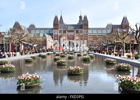 Tulpen Tulpe Blume See Rijksmuseum (Museumplein) Amsterdam Niederlande Niederländisch Museum (1876-1885 Architekten Petrus Josephus Hubertus Cuypers 1827-1921) Stockfoto