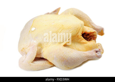 Ganze rohe Truthahn oder Huhn, Isolated on White Stockfoto