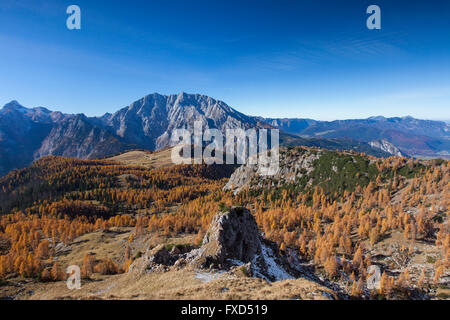 Gotzenalm in den Berchtesgadener Alpen im Herbst, Nationalpark Berchtesgaden, Bayern, Deutschland Stockfoto