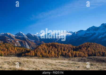 Gotzenalm in den Berchtesgadener Alpen im Herbst, Nationalpark Berchtesgaden, Bayern, Deutschland Stockfoto