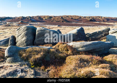 Gritstone Felsen auf Moor im Winter. Fairbrook Naze, Kinder Scout, Derbyshire, Peak District, England, Großbritannien Stockfoto