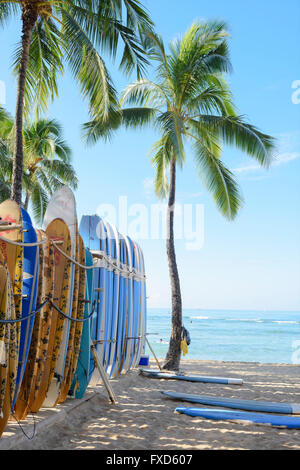 USA, Hawaii, Oahu, Honolulu, Waikiki beach mit Surfbrettern Stockfoto