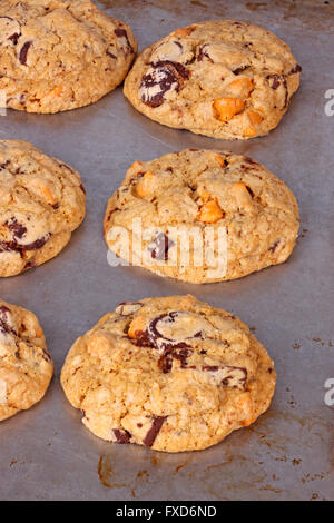 Hausgemachte Schokolade und Karamell chip Haferflocken Cookies immer noch auf der Pfanne frisch aus dem Ofen vertikale Stockfoto