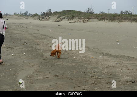 Ich bevorzuge einen Sandstrand, ein einziger. Stockfoto