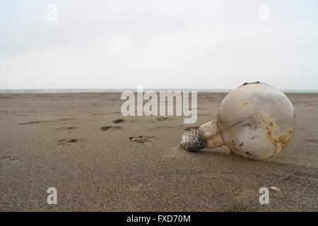 Ich bevorzuge einen Sandstrand, ein einziger. Stockfoto