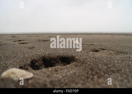 Ich bevorzuge einen Sandstrand, ein einziger. Stockfoto