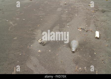 Ich bevorzuge einen Sandstrand, ein einziger. Stockfoto