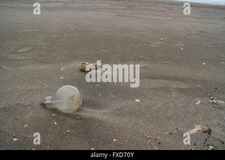 Ich bevorzuge einen Sandstrand, ein einziger. Stockfoto