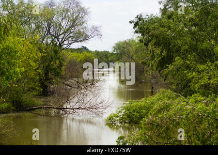 Resaca De La Palma Staatspark, in Brownsville, Texas im zeitigen Frühjahr. Verschiedene Wasservögel genießen Sie das Wasser im Hintergrund. Stockfoto
