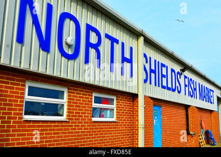 North Shields Fischmarkt Stockfoto