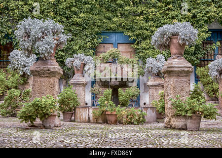 Garten-Innenhof eines typischen Hauses in Cordoba, Spanien Stockfoto