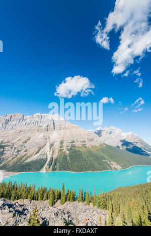 Türkis Gletscher Peyto Lake, Banff Nationalpark, Kanadische Rockies, Provinz Alberta, Kanada Stockfoto