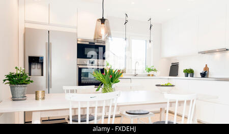 Ausgefallene Küche Interieur in skandinavischem design Stockfoto