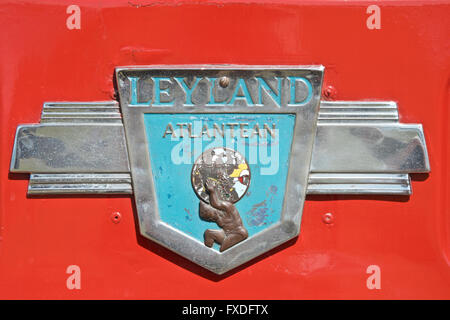 Leyland Atlantean Abzeichen auf einem renovierten Plymouth Stadtverkehr Bus in Dienst im Jahr 1960. Stockfoto