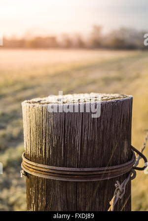 Schuss von funkelnden Frost auf einen hölzernen Zaun-Pfosten Stockfoto