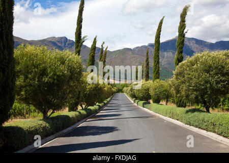 Grand Provence Weingut in Franschhoek, Westkap - Südafrika Stockfoto