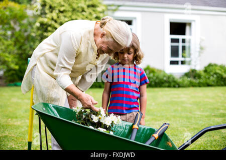 Oma mit Enkel betrachtet man Blumen in Schubkarre Stockfoto