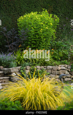 Schöne, traditionelle, gepflegten, ländlichen Garten, West Yorkshire, England - blühende Pflanzen und Sträucher auf erhöhten krautige Grenze im Sommer. Stockfoto