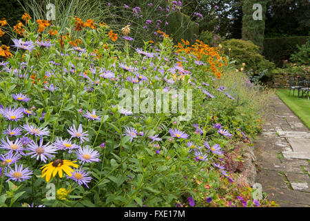 Einen privaten, traditionellen, gepflegten, ländlichen Garten, West Yorkshire, England - farbenfrohe Stauden Grenze und Pfad im Sommer. Stockfoto