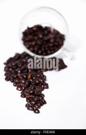 Kaffeebohnen in Form des afrikanischen Kontinents, die aus der Tasse verschüttet werden und auf weißem Hintergrund in diesem Foto des Food and Drink Studios isoliert sind Stockfoto