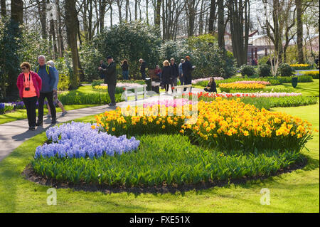 Im Frühjahr besuchen Touristen "Keukenhof". Der Keukenhof ist eine beliebte Blumengarten. Stockfoto