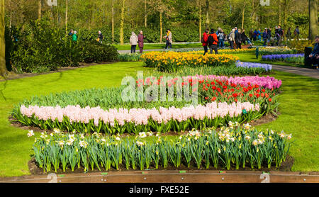 Im Frühjahr besuchen Touristen "Keukenhof". Der Keukenhof ist eine beliebte Blumengarten. Stockfoto