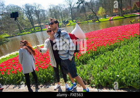 Im Frühjahr besuchen Touristen "Keukenhof". Es ist eine beliebte Blumengarten mit mehr als 1 Million Besucher pro Jahr. Stockfoto