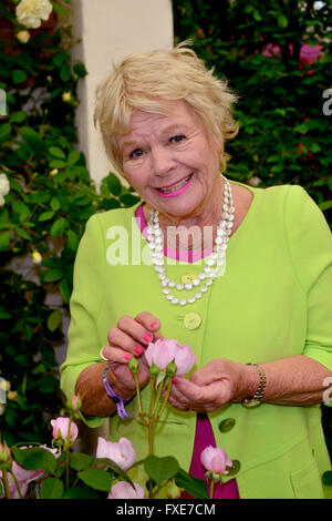 Judith Chalmers 2015 RHS Chelsea Flower Show im Royal Hospital Chelsea in London Stockfoto