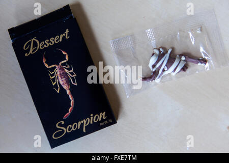 Schokolade mit einem Dessert-Skorpion im Inneren Stockfoto