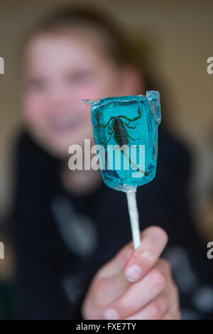 Lollypop mit Insekten im Inneren Stockfoto