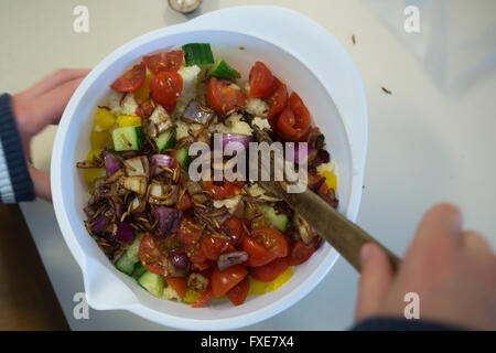 Insekten als eine neue Proteinquelle Kochen Stockfoto