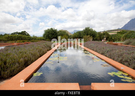 Teiche auf Babylonstoren Farm in der Nähe von Franschhoek in Western Cape - Südafrika Stockfoto