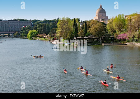 Kanuten auf dem See in der Stadt Stockfoto