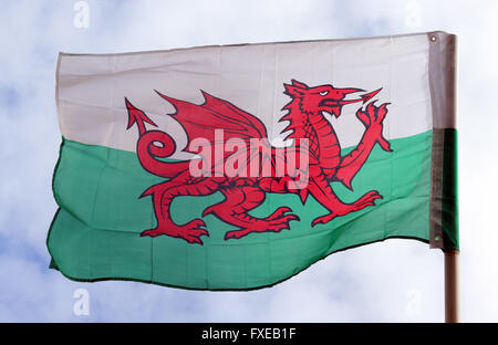 Walisische Flagge im wind Stockfoto