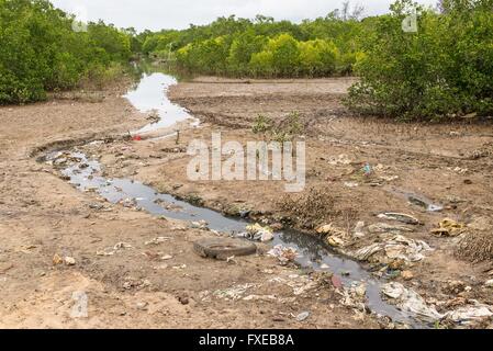 Stark verschmutztes Wasserstrom voller Müll läuft durch einen schlammigen Ebene vor dem Eintritt in einen Wald Stockfoto