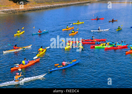 Kanu-Gruppe am Kanal Yokohama Japan Stockfoto