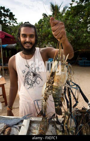 Sri Lanka, Mirissa Strand, Café, Mann hält frischen Hummer, Kunden zu locken Stockfoto