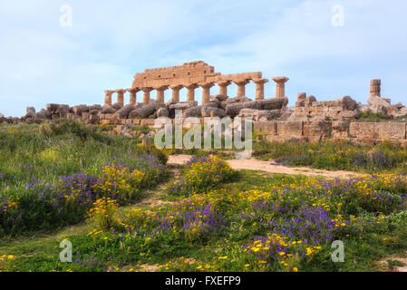 Selinunte, Castelvetrano, Sizilien, Italien Stockfoto