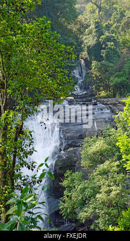 Mae ya Wasserfall im Doi Inthanon Natiopnal Park Stockfoto