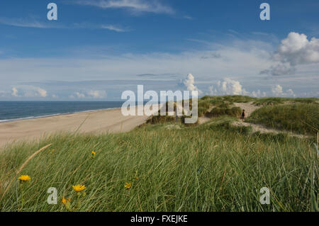 Bjerregård Strand. Bjerregård. Hvide Sande. Dänemark Stockfoto