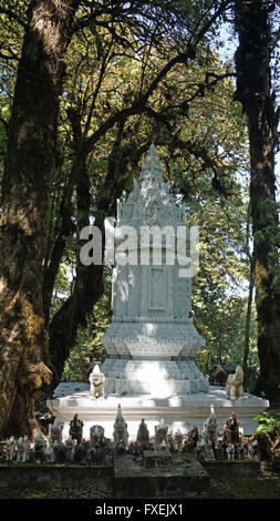 erstaunlich grünen Natur im Doi Inthanon Nationalpark in thailand Stockfoto