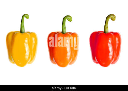 Drei Paprika gesehen von oben fotografiert vor einem weißen Hintergrund. Stockfoto