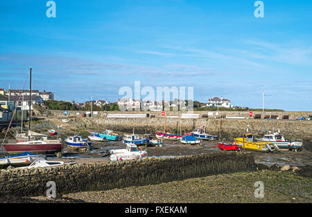 Cemaes Bay und den Hafen Anglesey an einem sonnigen Tag, North Wales, bei Ebbe Stockfoto