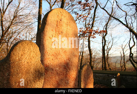 Alter jüdischer Friedhof Liten in Tschechien Stockfoto