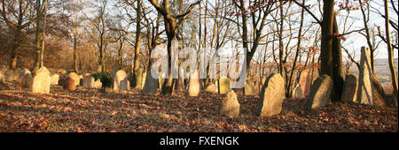 Alter jüdischer Friedhof Liten in Tschechien Stockfoto