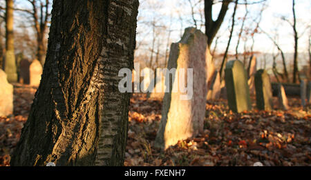 Alter jüdischer Friedhof Liten in Tschechien Stockfoto