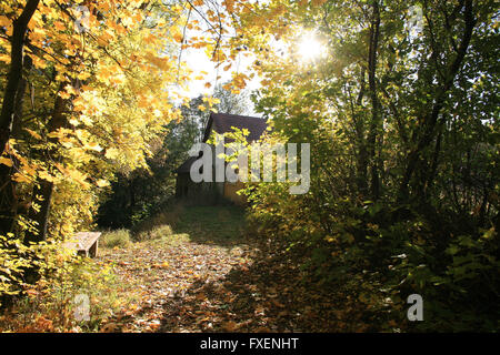 Alter jüdischer Friedhof Liten in Tschechien Stockfoto